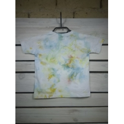 Tee-shirt Ice 2-3